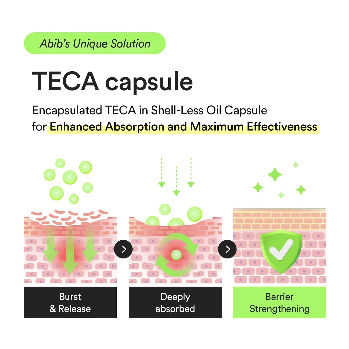 Heartleaf Teca Capsule Serum Calming Drop 1.69 Fl Oz, Centella Asiatica & Niacinamide Serum for Soothing, Acne Treatment for Face, Korean Skin Care for Oily Skin