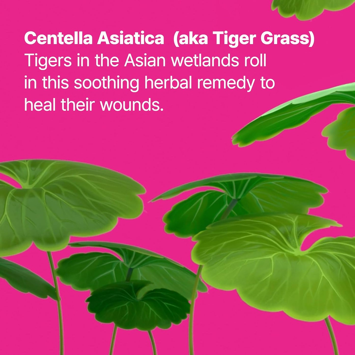 Cicapair™ Tiger Grass Camo Drops Tinted Face Serum SPF 35 with Centella Asiatica | Cc Cream | Korean Skin Care, 1.01 Fl Oz