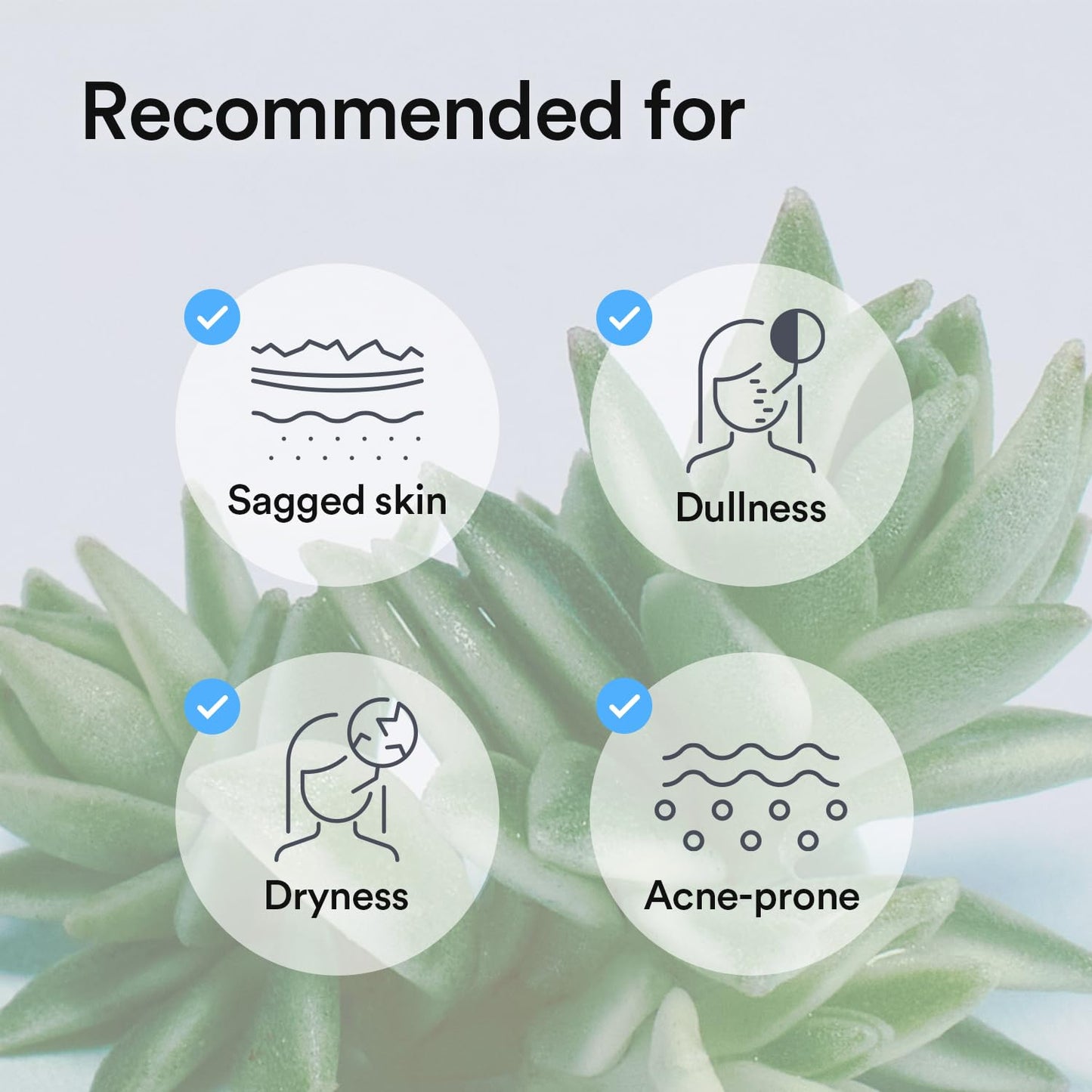 Collagen Gel Mask Sedum Jelly 10 Sheets (Hydrating) I Korean Vegan Collagen, Cooling Hydrating Hyaluronic Acid Hydrogel Face Mask Skin Care