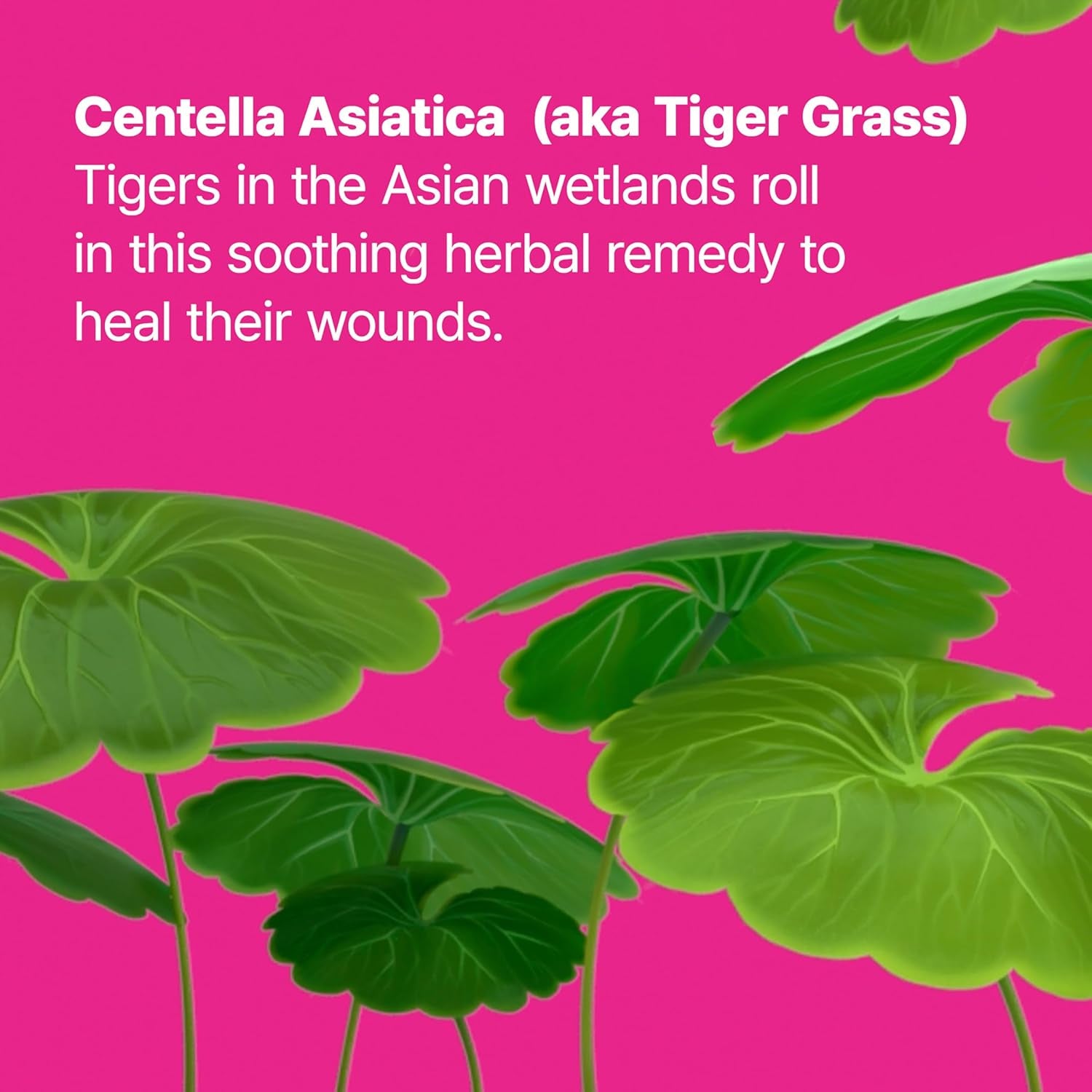 Cicapair™ Tiger Grass Camo Drops Tinted Face Serum SPF 35 with Centella Asiatica | Cc Cream | Korean Skin Care, 1.01 Fl Oz