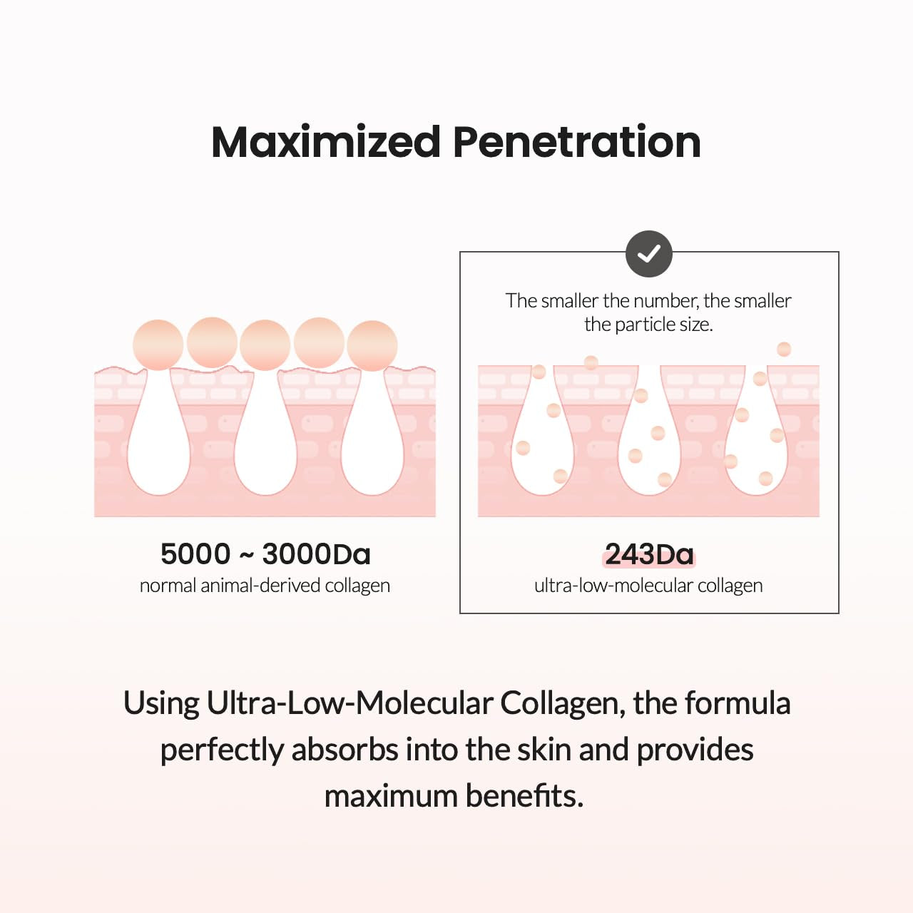 Collagen Ampoule | Korean Collagen Serum for Face, Pore Minimizing & anti Aging Face Serum for Women | 1.69 Fl. Oz X 1 Ea
